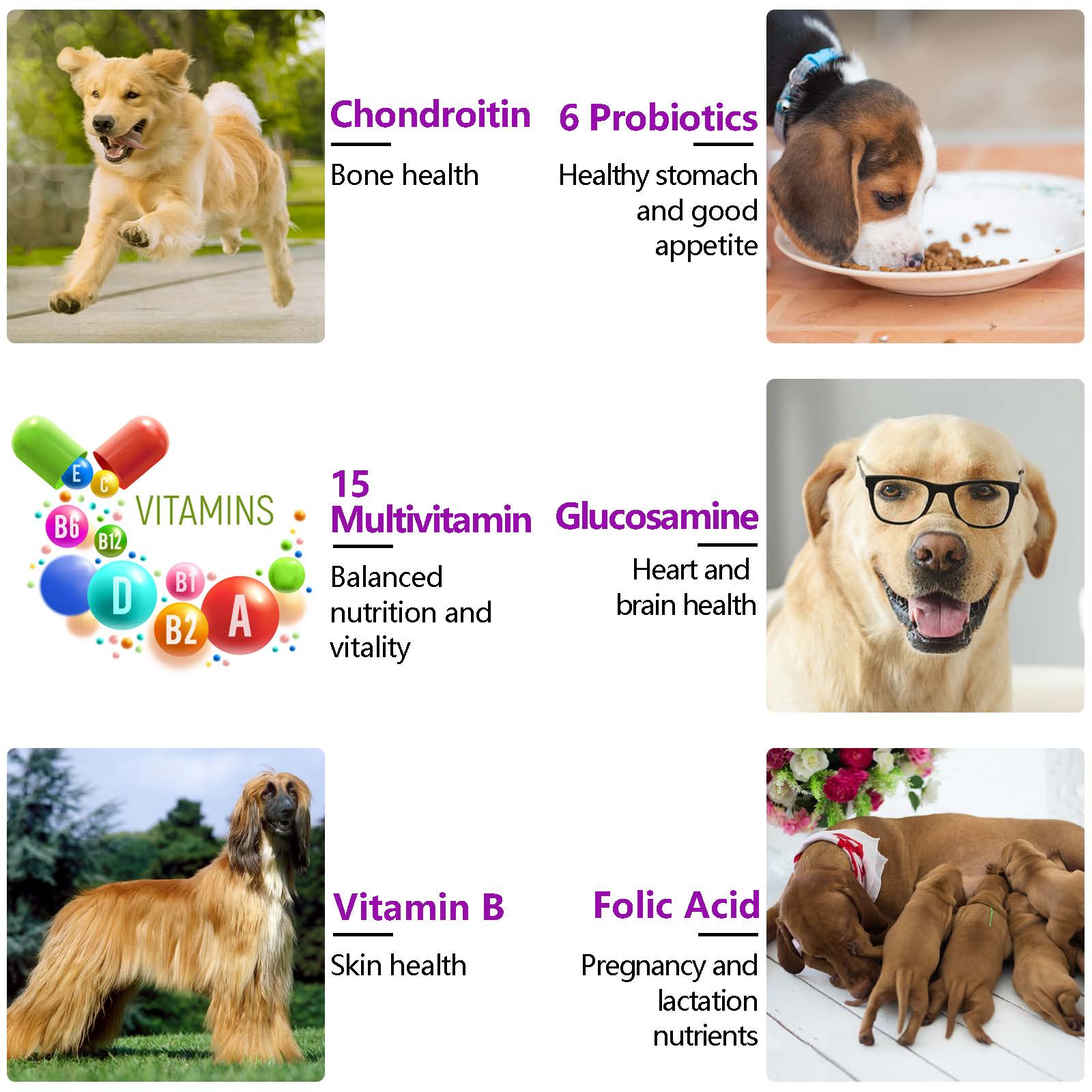OlipetLabs 15-in-1 Multivitamin Soft Chews
