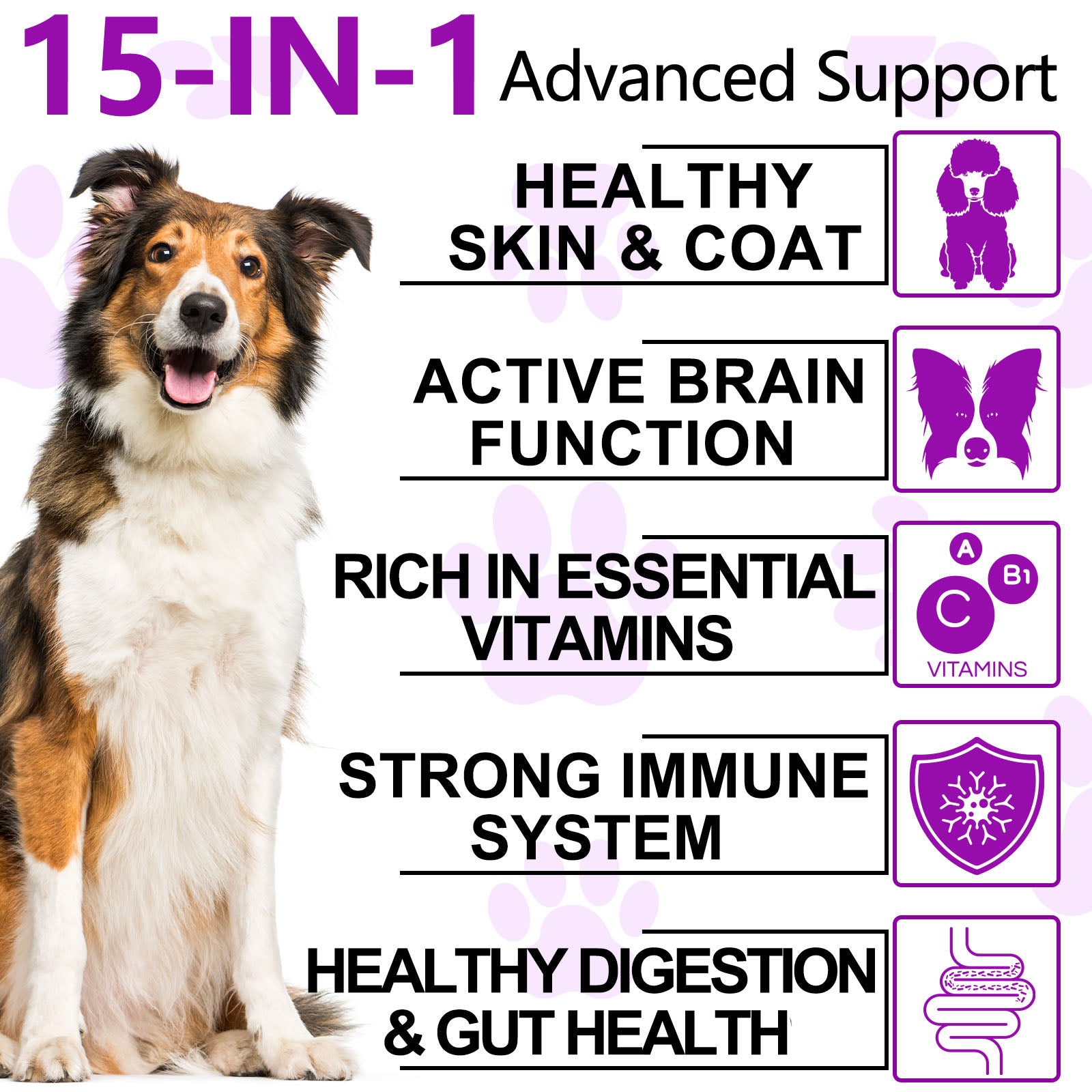 OlipetLabs 15-in-1 Multivitamin Soft Chews