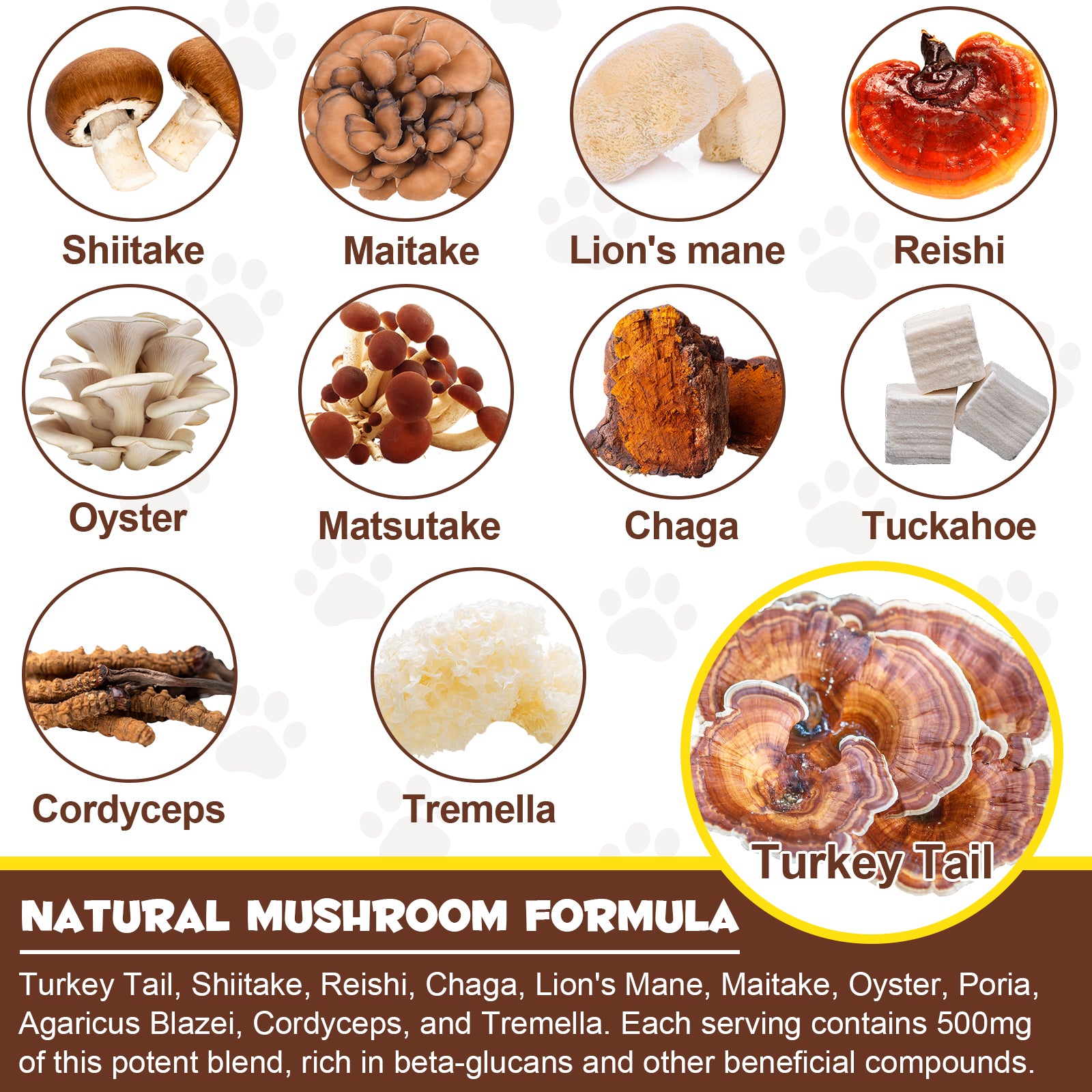 OlipetLabs Wild Mushroom Superblend for Dogs & Cats
