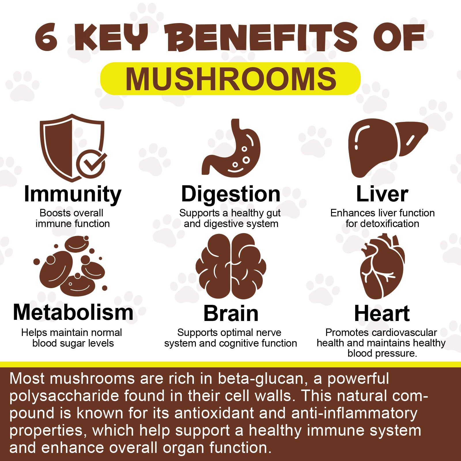 OlipetLabs Wild Mushroom Superblend for Dogs & Cats
