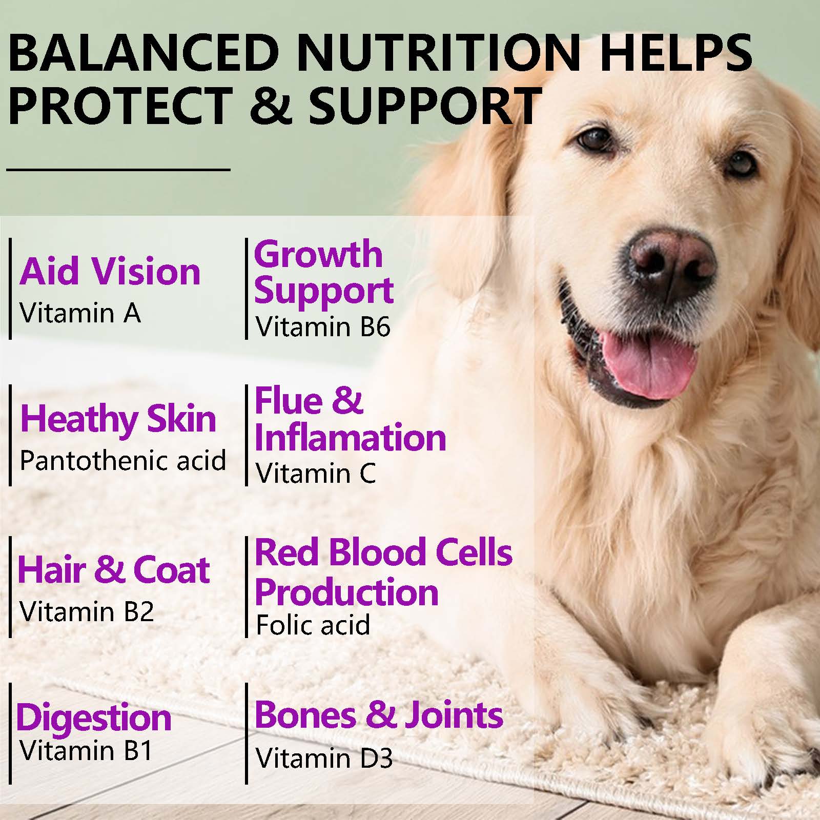 OlipetLabs 15-in-1 Multivitamin Soft Chews