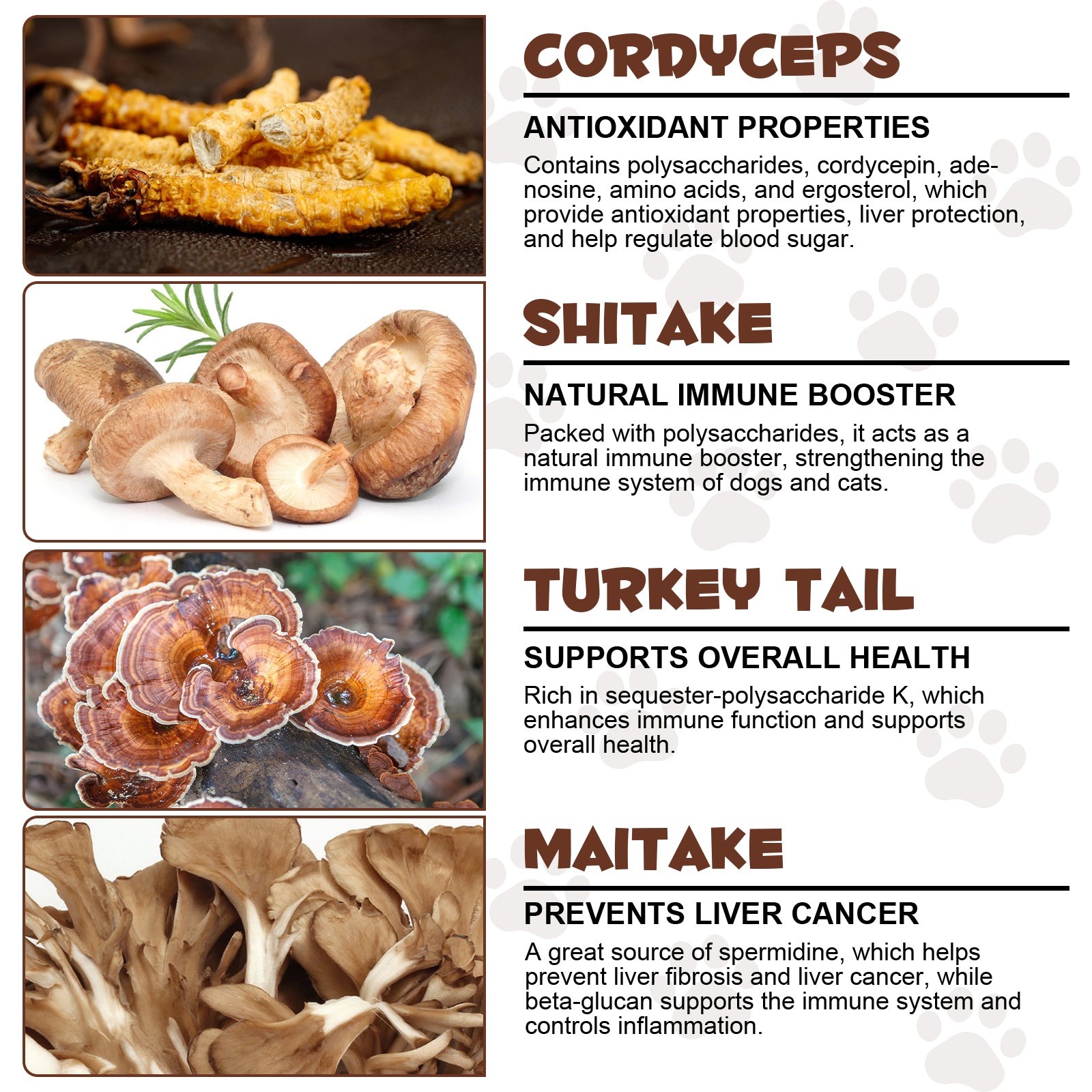 OlipetLabs Wild Mushroom Superblend for Dogs & Cats