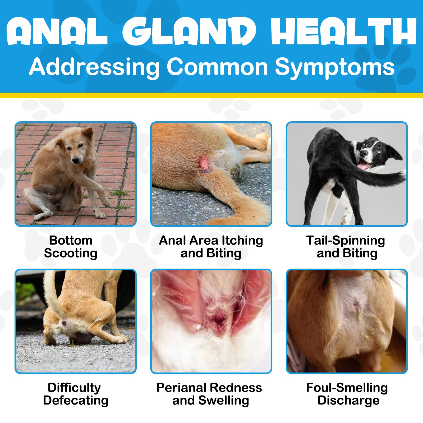 OlipetLabs Anal Gland Support Chews