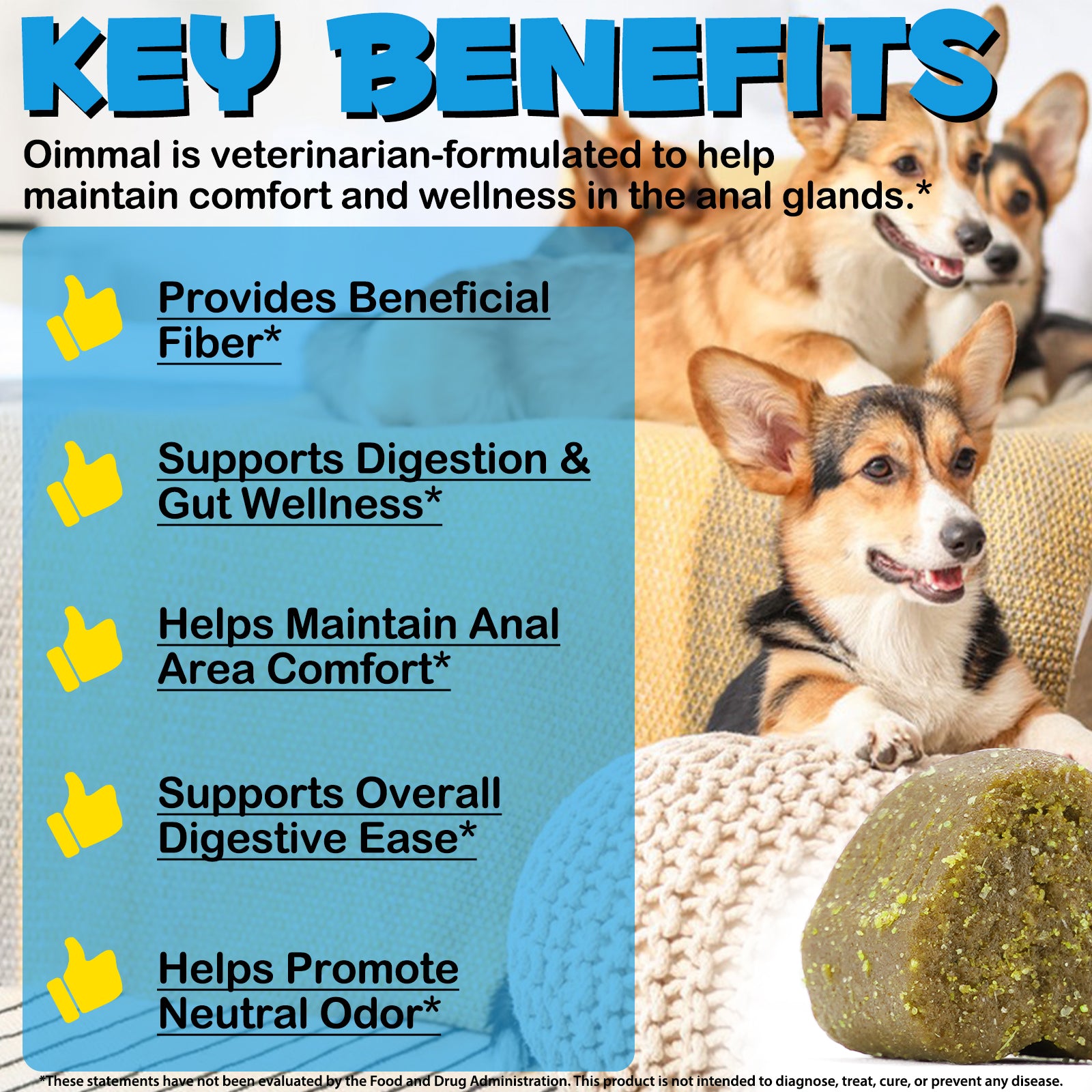 OlipetLabs Anal Gland Support Chews