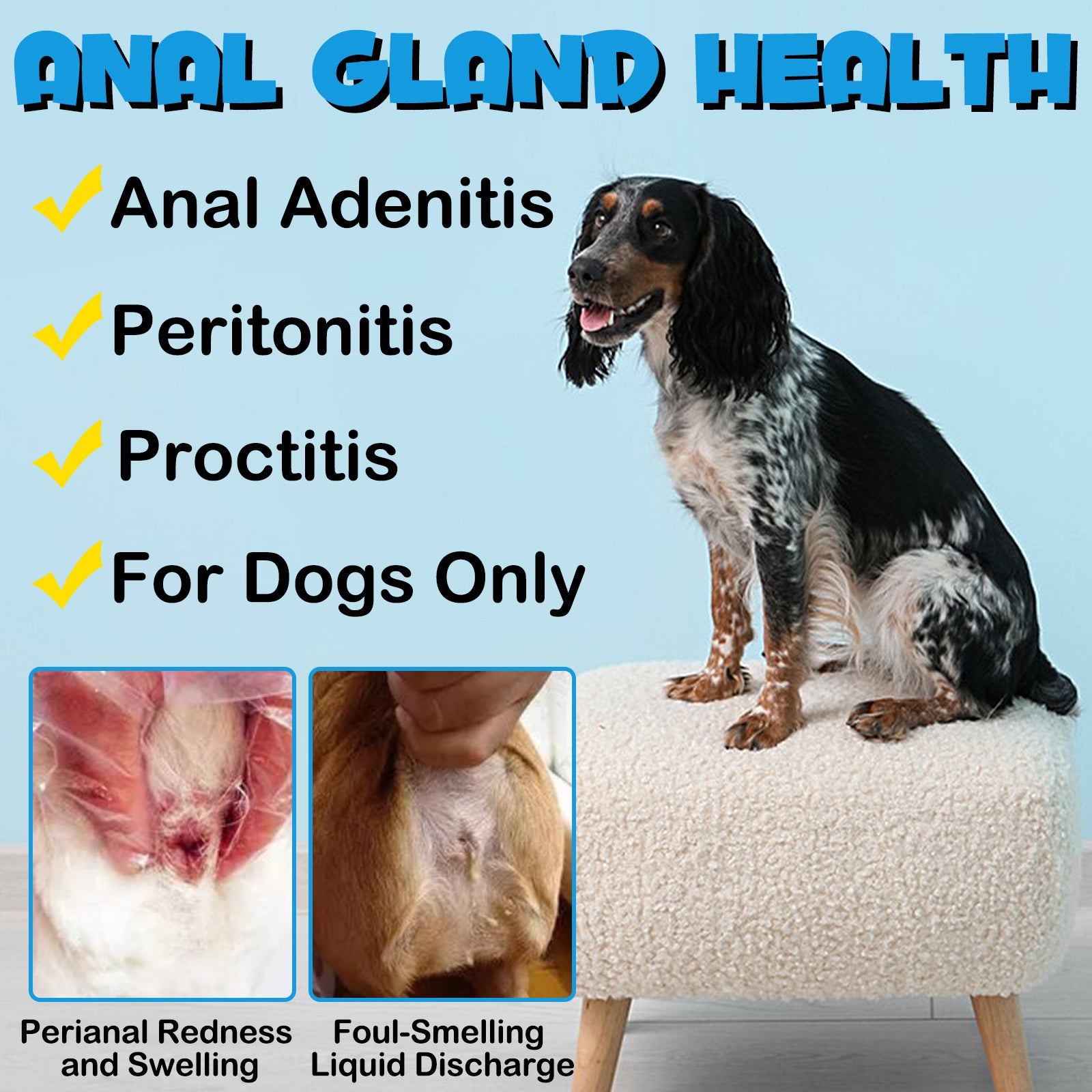 OlipetLabs Anal Gland Support Chews