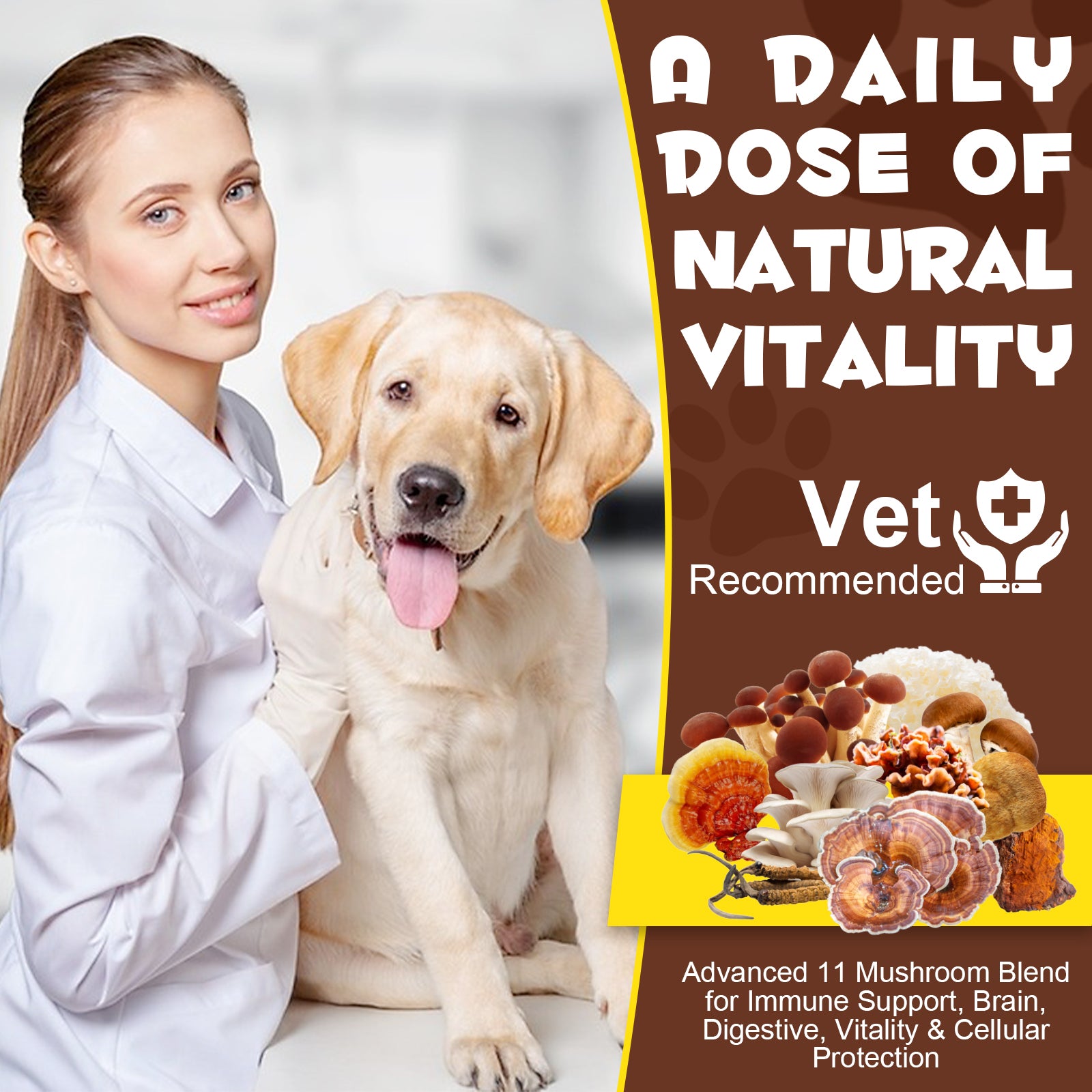 OlipetLabs Wild Mushroom Superblend for Dogs & Cats
