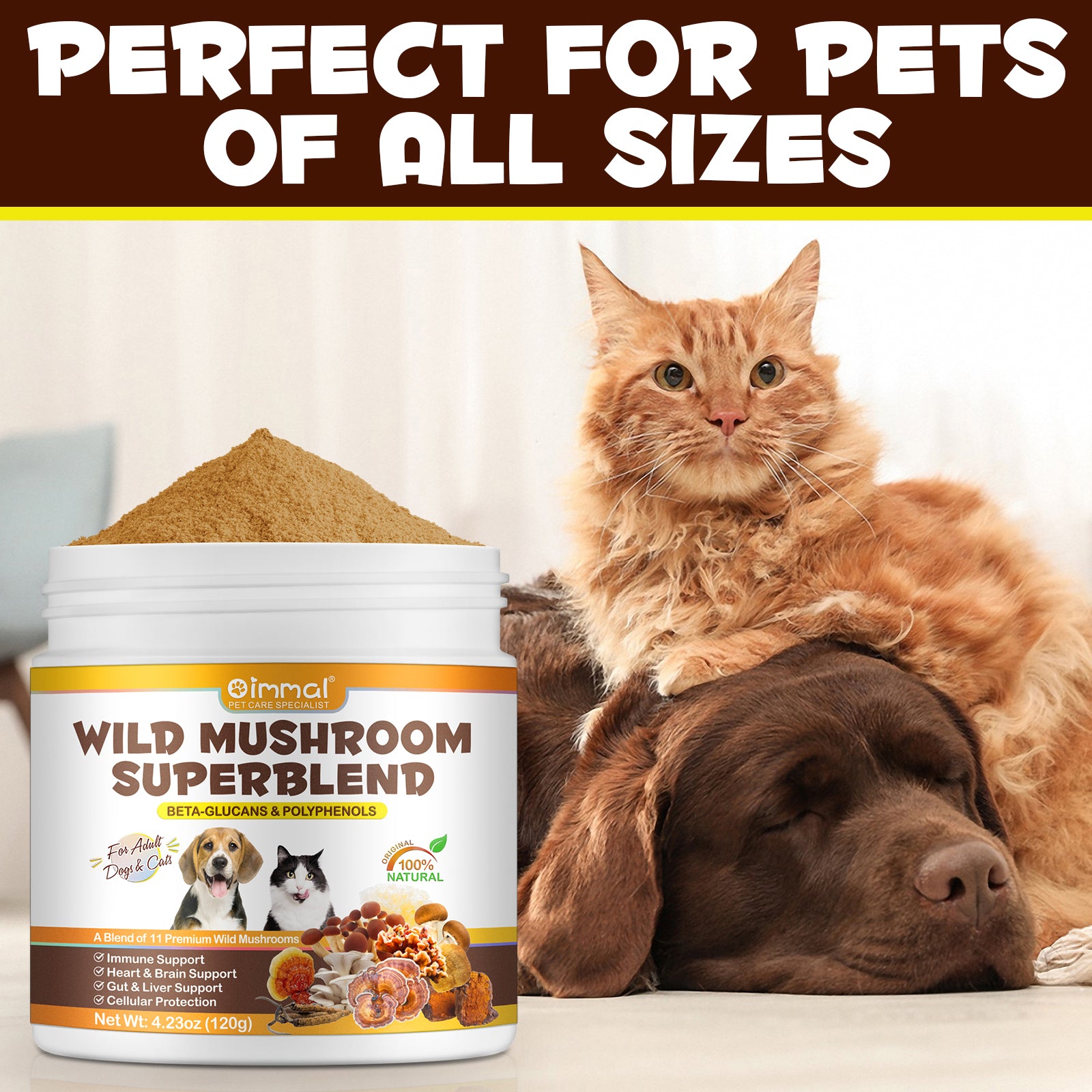 OlipetLabs Wild Mushroom Superblend for Dogs & Cats