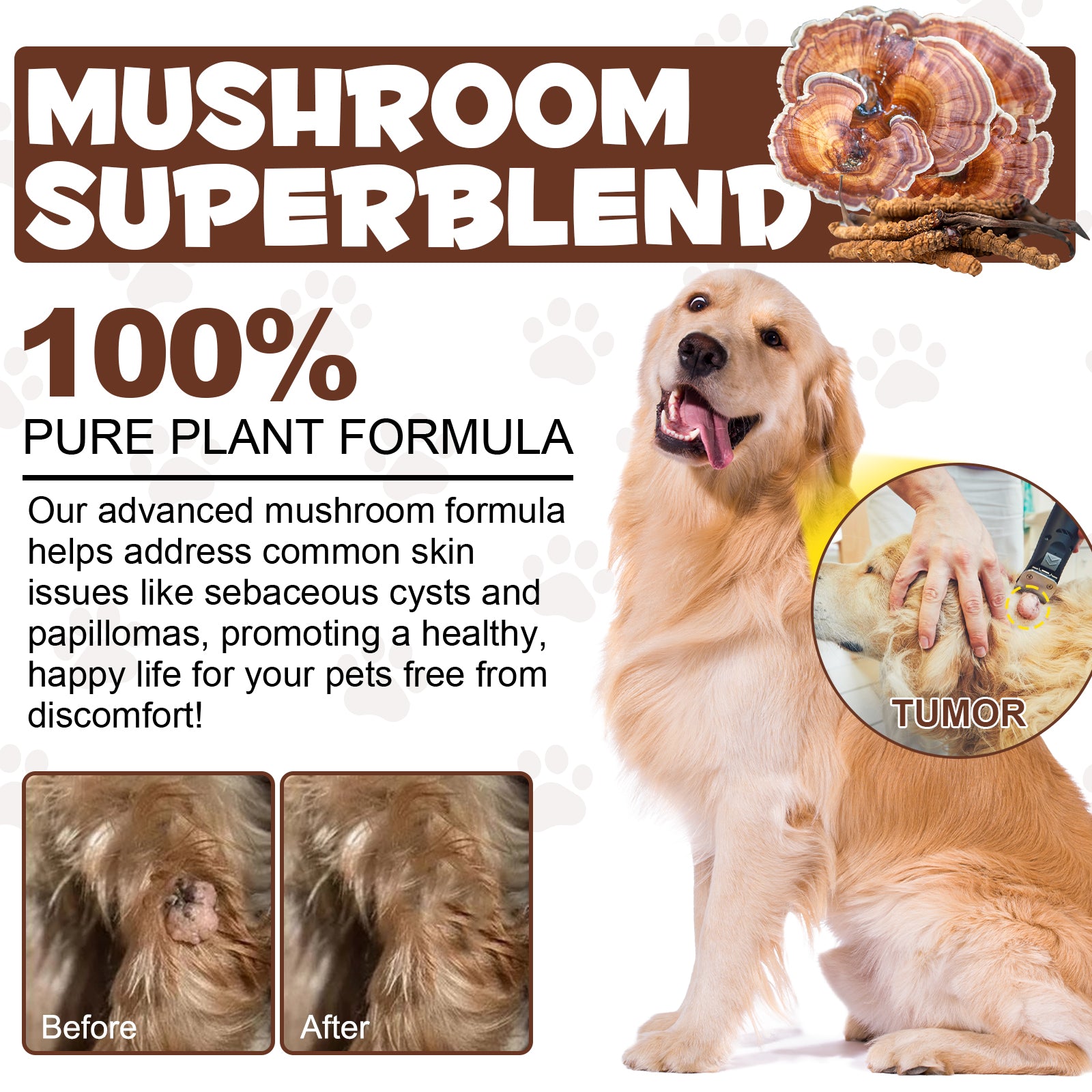 OlipetLabs Wild Mushroom Superblend for Dogs & Cats