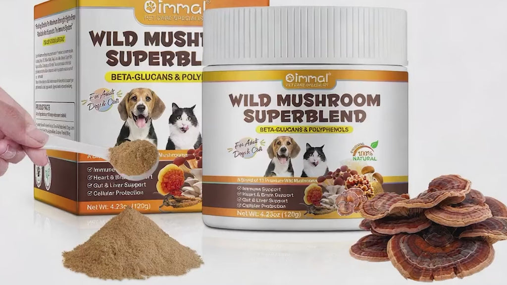 OlipetLabs Wild Mushroom Superblend for Dogs & Cats